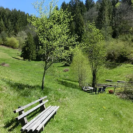 Haus Rossleberg Holiday home *